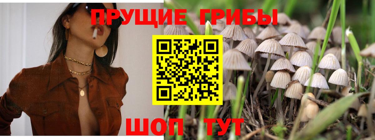 Псилоцибиновые грибы MAGIC MUSHROOMS  Вход с VPN  магазин продажи   Орехово-Зуево 
